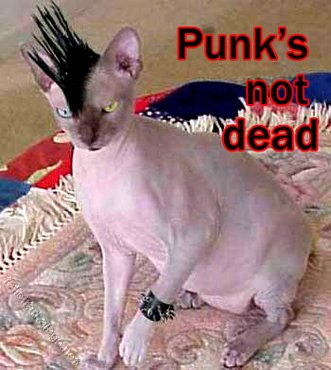 Punks Not Dead