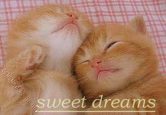 Sweet Dreams