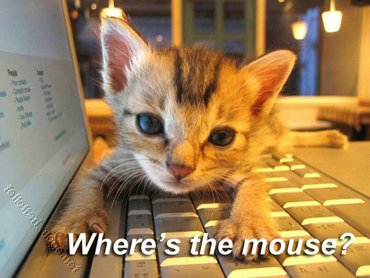 Wheres The Mouse
