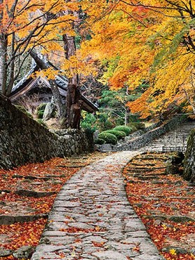 Autumn