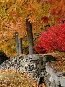Stone Wall