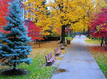 Autumn