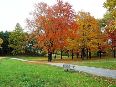 Autumn