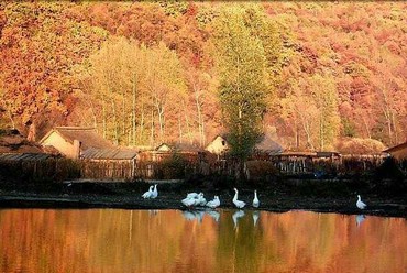 Autumn