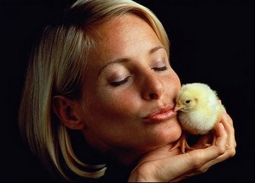 Kisses