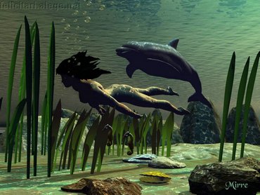 Dolphin With Mermaid