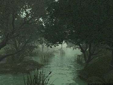 Green Jungle And River