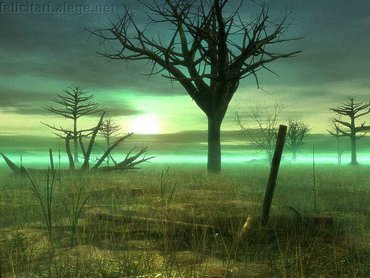 Sick Swamp
