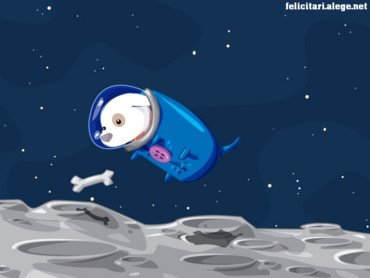Space Doggy