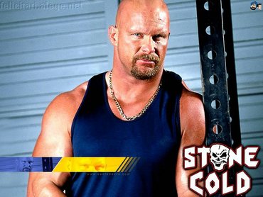 Wwe Stone Cold Steve Austin