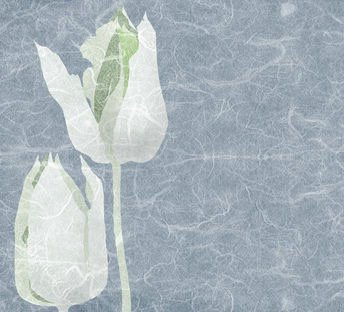 White Flowers