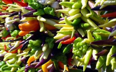 Bright peppers