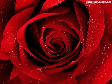 Dew of Fertility
