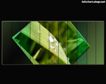 Green leafs
