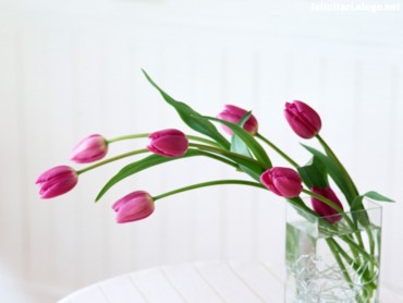 Home Flower