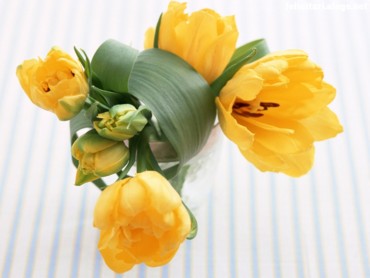 Home Flowers