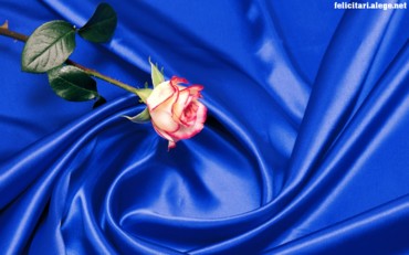 Rose Art Style