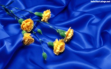 Rose Art