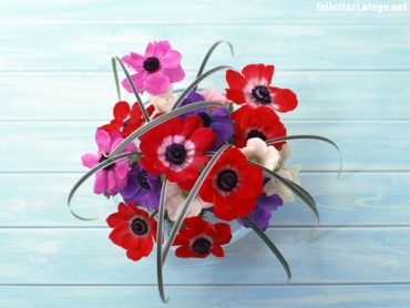 Wall Flowers