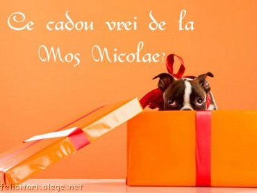 Ce Cadou Vrei De La Mos Nicolae?