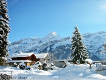 Winter Mountain