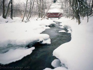 Rau Iarna