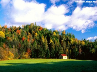 Autumn Begins