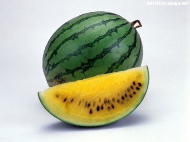 Juicy Melon