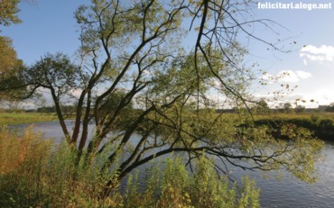 Landscapes
