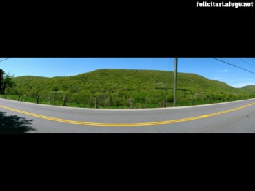 Panoramic road