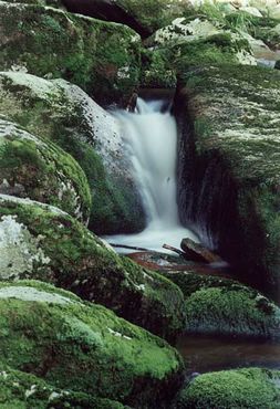 Cascada