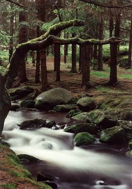 Landscapes