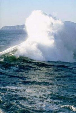 Marea