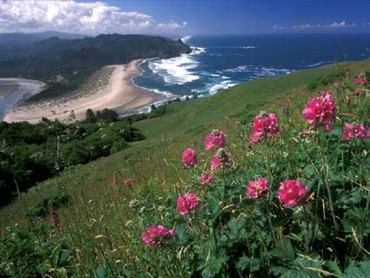 Landscapes