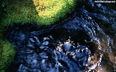 Rivulet Ripple