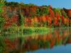 Landscapes
