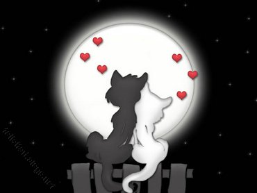 Valentine Day