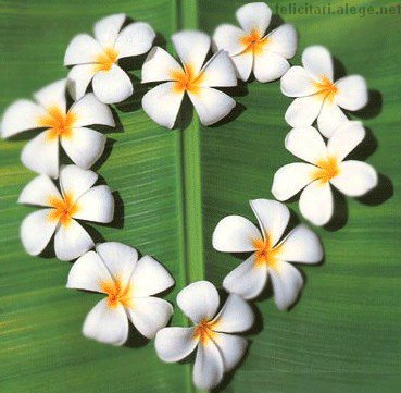 Flower Heart