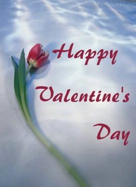 Happy Valentine`s Day
