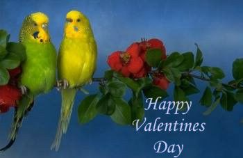 Valentine Day