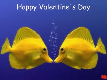 Happy Valentine`s Day! - Pesti