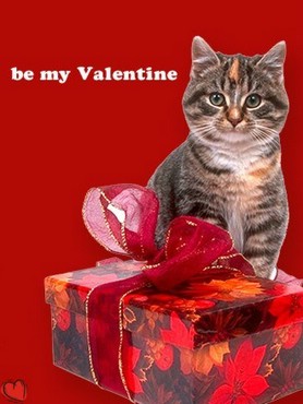 Be My Valentine - Pisoi