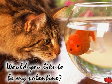 Would You Like To Be My Valentine?