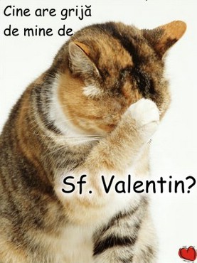 Cine Are Grija De Mine De Sf. Valentin?