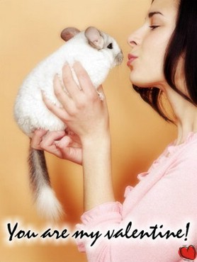 You Are My Valentine! - Iepuras