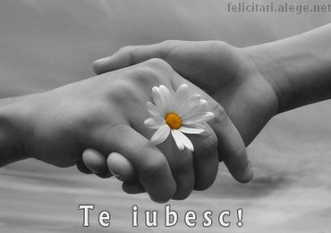 Te Iubesc