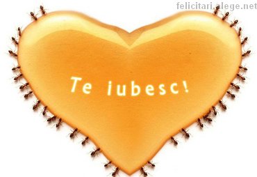 Te Iubesc