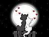 Love Cats