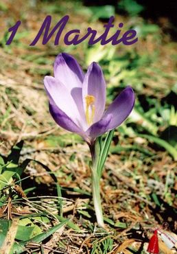 1 Martie