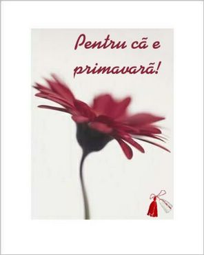 Pentru ca e primavara!